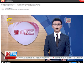[广西网络广播电视台]年销量突破300万个！ 河池粽子产业学院撬动振兴大产业