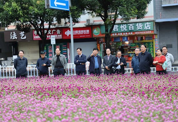 学校校庆筹备工作全面进入关键攻坚阶段