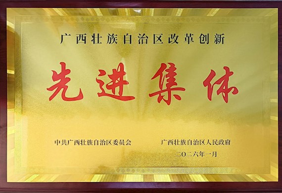党旗领航改革路 创新为魂启新程 ——广西现代职业技术学院获评“自治区改革创新先进集体”